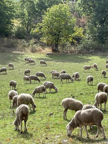 Agriturismo La Dimora dei Cavalieri