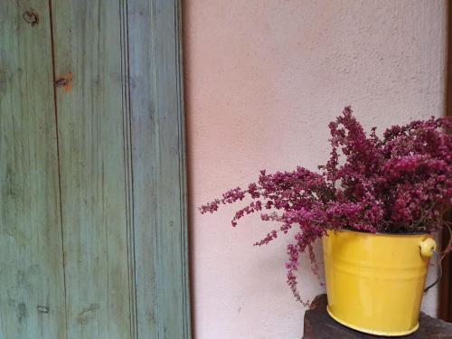  EVA & TRAVEL - Baronia - L´Escoleta 6 in 43730 Falset