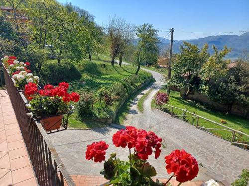  LE PIANACCE - Appartamento per vacanze in Castiglione di Garfagnana
