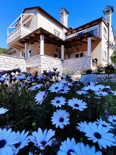 Danijela Rovinj sea view and free parking 2