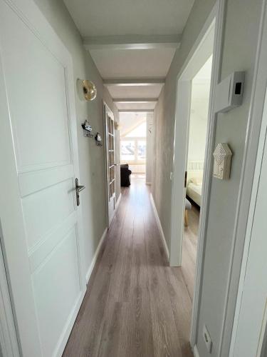 Herzmuschel Herzmuschel