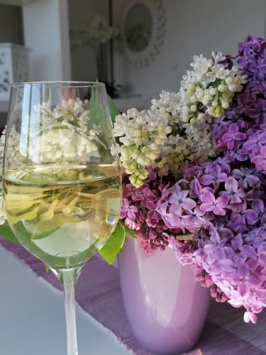 Summer Wine in Glanz An Der Weinstrasse