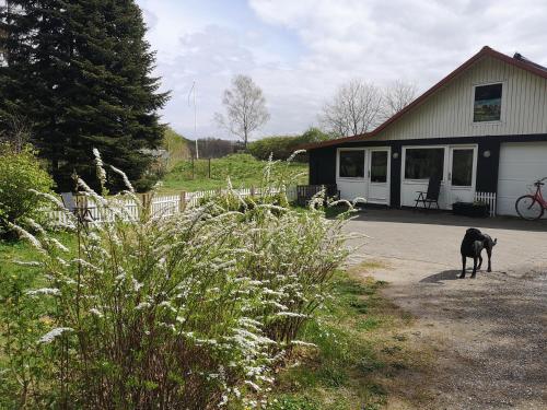  Keramikhuset 2 komma 0, smuk natur og hjemlig hygge, Pension in Horsens bei Rask Mølle