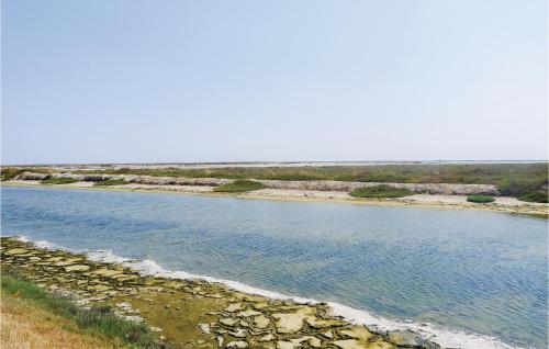 Les Tamaris - Location saisonnière - Arles