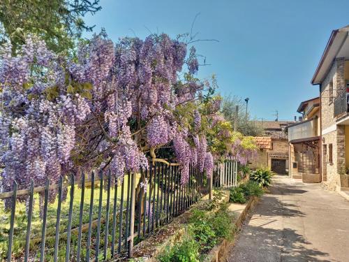 B&B Torre Matta – Assisi, CT
