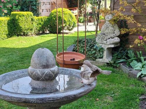 Familie Postma B&B Anjum in Dongeradeel