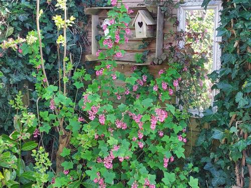 Familie Postma B&B Anjum in Dongeradeel