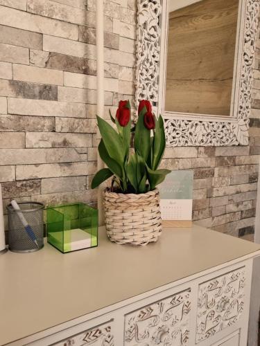 Ferienwohnung Gerersdorf - main image