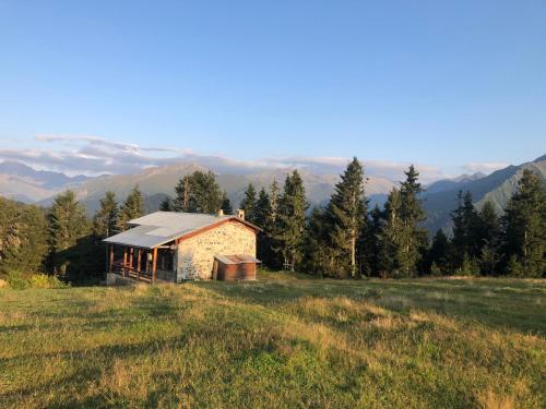  Tanevit Dağ Evi in Rize