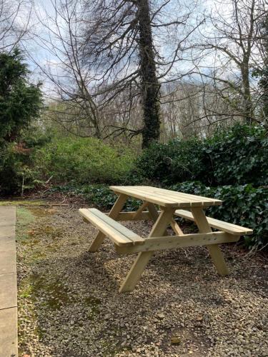 Garden, Headingley-Weetwood - Well equipped apartment set in natural woodland near Headingley Golf Club