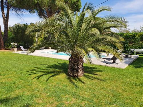 La Bastide Bleue - image 2