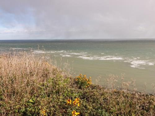 Exterior view, Seas The Day in Ventnor East