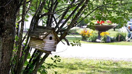 Auberge Papillon Lune