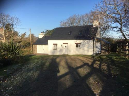 Entire cottage in the heart of St David's gîte à louer Treleddyd-fawr