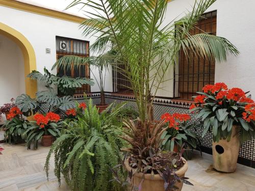Casa Típica Cordobesa, Córdoba (Foto 2)