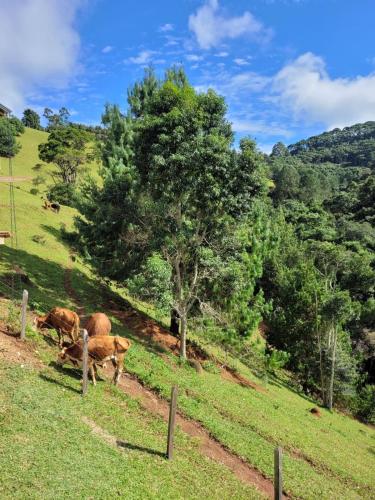 Chalés Estrela da Mantiqueira