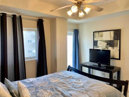 LAGUNA BAY 302N condo - image 4
