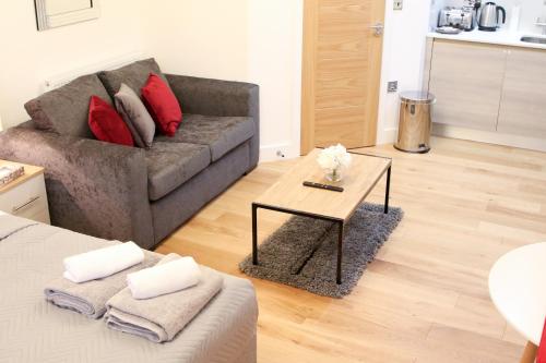 Executive Bright and Airy Studio Apartment in Sydenham, Londýn (fotografie 6)