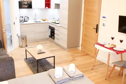 Executive Bright and Airy Studio Apartment in Sydenham, Londýn (fotografie 7)