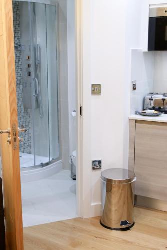 Executive Bright and Airy Studio Apartment in Sydenham, Londýn (fotografie 8)
