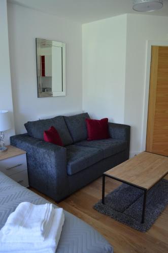 Executive Bright and Airy Studio Apartment in Sydenham, Londýn (fotografie 3)