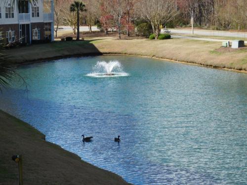 River Crossing Condo #113