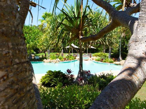 Swimming pool, Cotton Beach Resort - Tweed Coast Holidays ® in Kingscliff