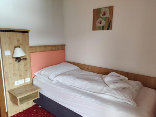 Hotel Lindwurm - main image