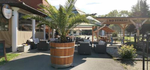 מסעדה, No Stress Panzió-Pizzéria-Sporttábor (No Stress Panzio-Pizzeria-Sporttabor) in Harkany
