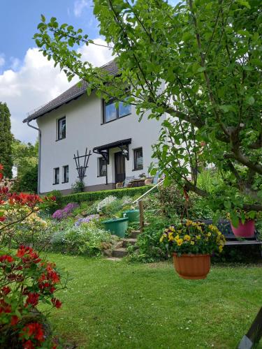 Ferienwohnung Am Steinbachtal - image 2