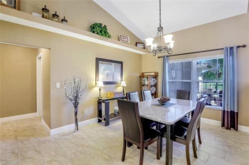 Coral Paradise - image 12