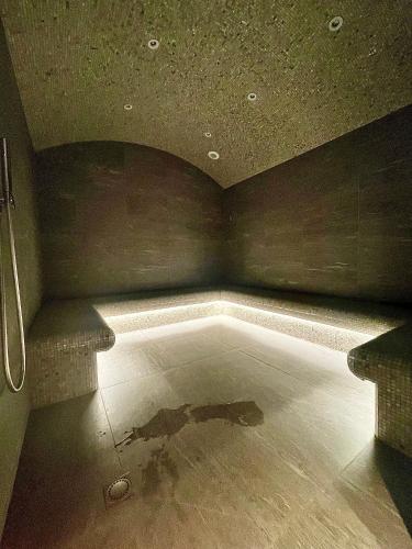 Luxueux appartement skis aux pieds, jacuzzi privatif