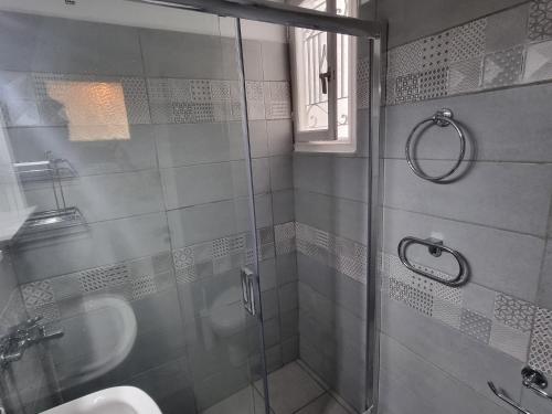 Syneti Andros house, Andros (zdjęcie 8)