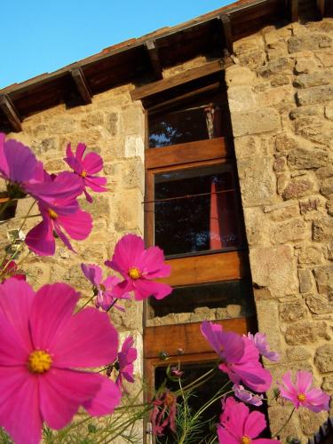 Gîte de Chapelèche Les Châtaigniers