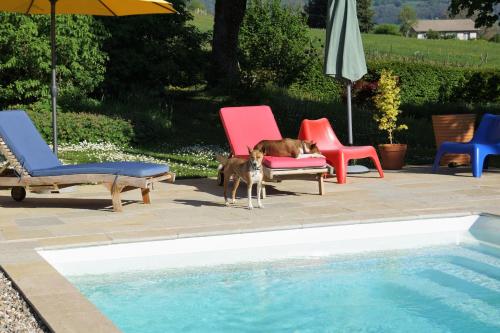 Domaine de Saint Loth' 3