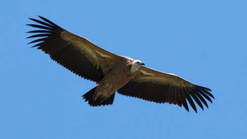 Entre Terre et Ciel