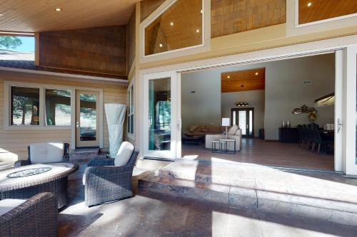 Forest Drama near Arborétum