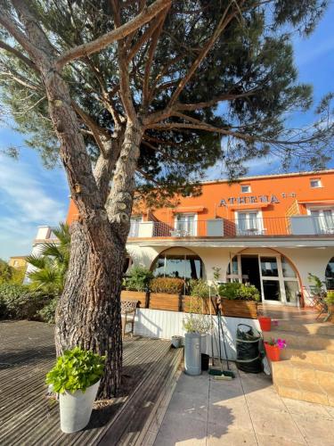 Hôtel Athena - image 7