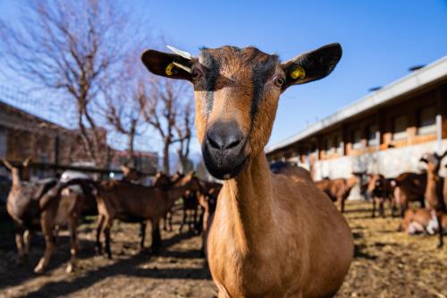 Agriturismo La Fiorida