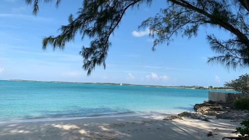 Turtles Nest Bahamas