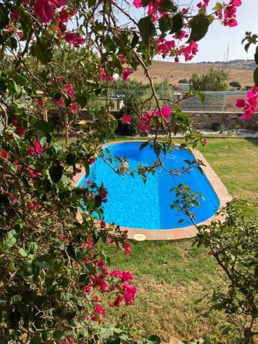 Estupenda casa con piscina gîte à louer Facinas