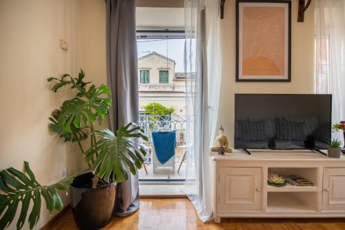 Mitropoleos Suite, Korfu (fotografie 6)