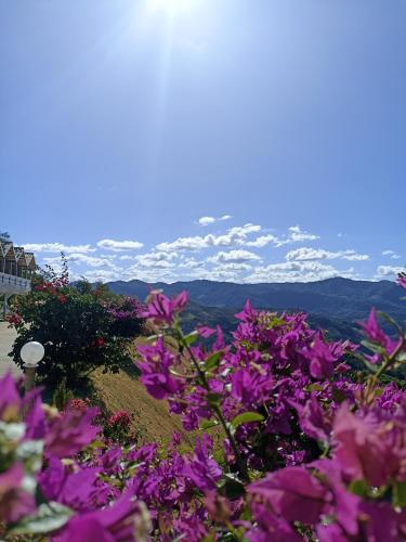 Pousada Linda Vista