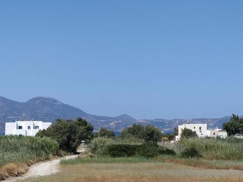 Papikinou Studios 2
