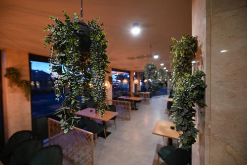 Hotel Xe-Mar - image 4