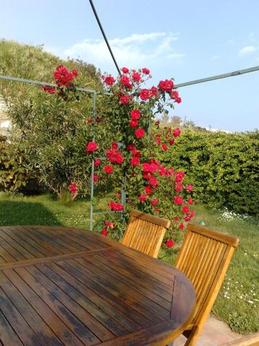 B&B Ariadamare - image 6
