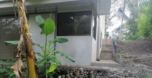 Casa Taupe in 哥巴諾
