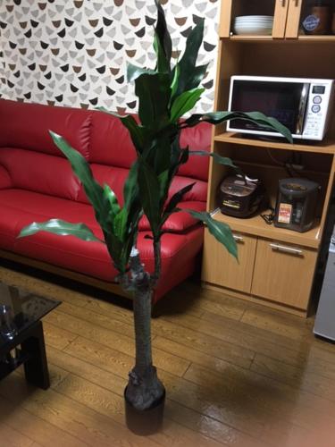 Family Room image 8
