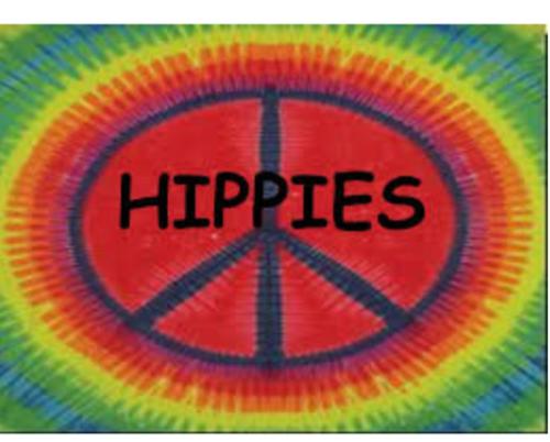Hippies coworking hostel — Hotel in Goa