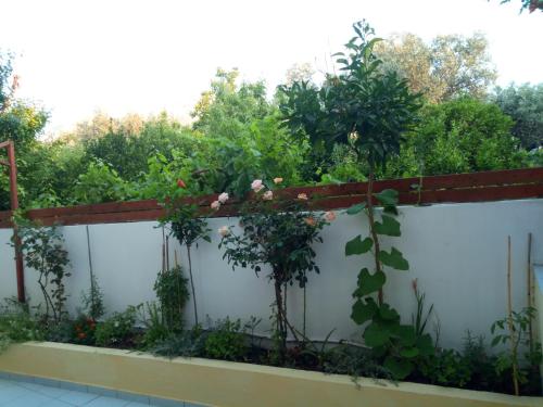  Pantheon Deluxe Apartments in Archangelos
